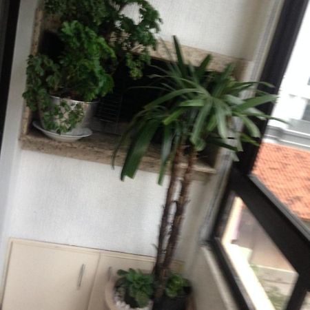 Jurere Lägenhet Florianópolis Exteriör bild